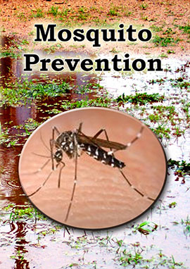 Mosquito_Prevention_DVD_Cover