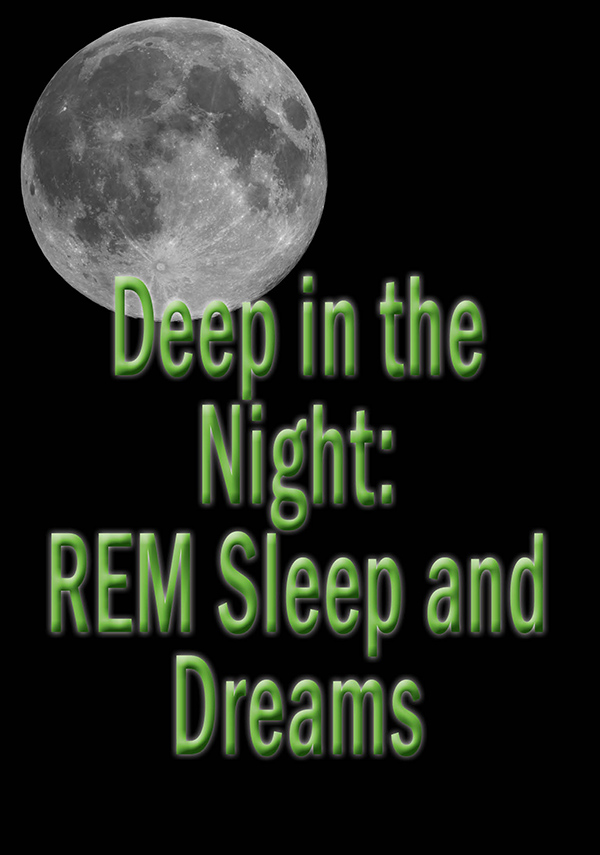 REM-_Sleep_and_Dreams_DVD_Jacket-2