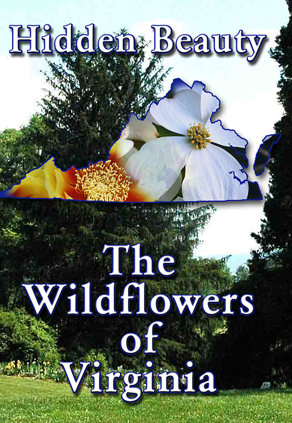 Wildflowers_Jacket