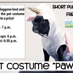 Pet Costume Pawty