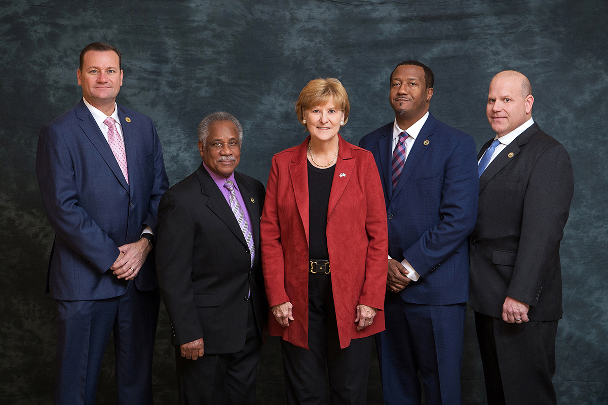 Henrico County Board of Supervisors 2020