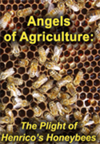Bees_DVD_cover
