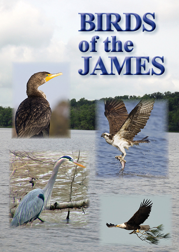 Birds_of_the_James_DVD_COVER4