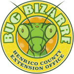 Bugbizarre Extension