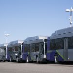 GRTC Buses