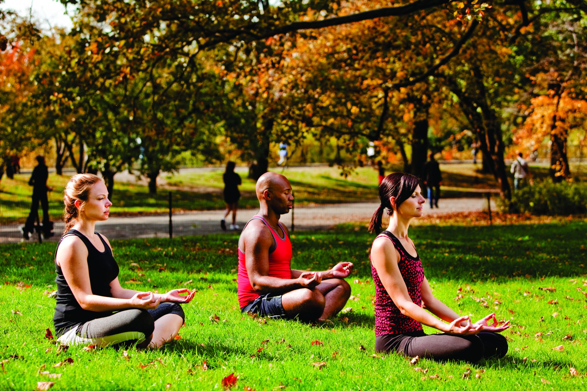 A small group of people doing yoga in the park in Fall.