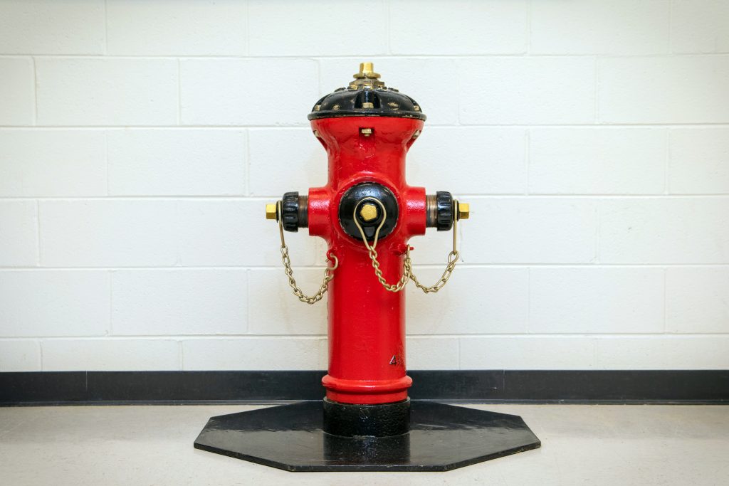 Red & black rennovated fire hydrant