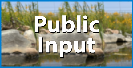 Heart Submit Button with the words Public Input in white with a background of a stream, rock & tall grasses