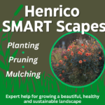Henrico Smart Scapes