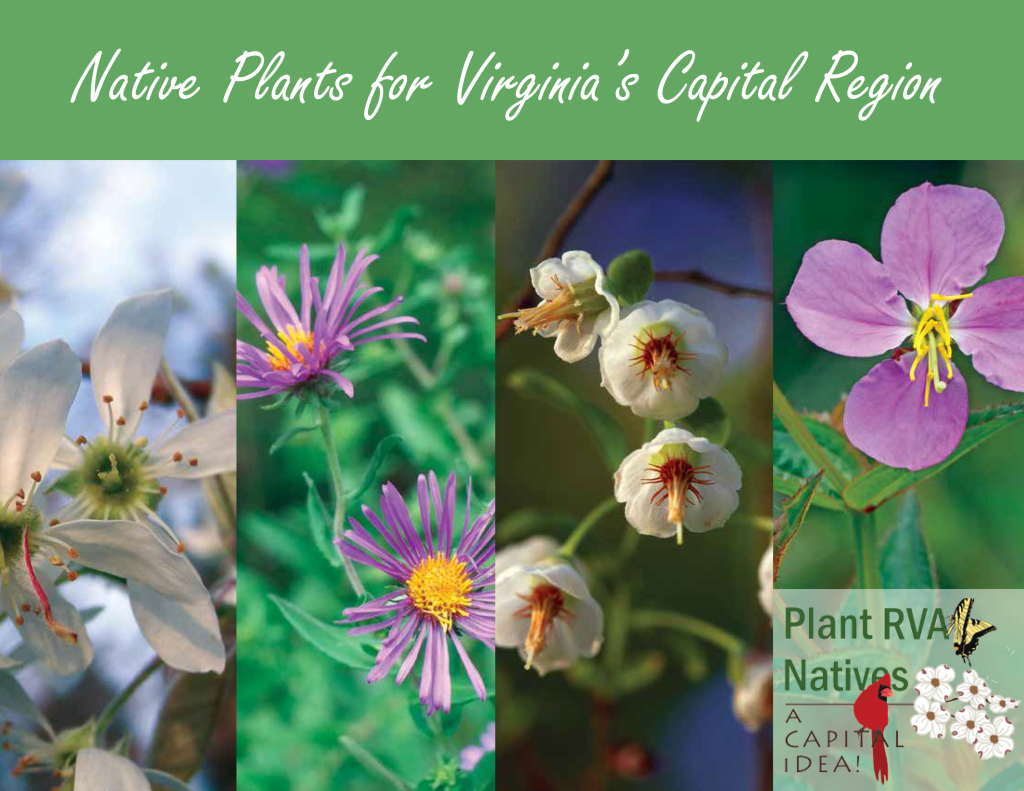 Plant Native Cover