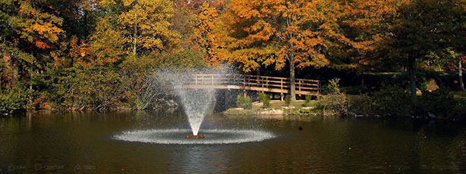 Lake with a fountain and trees