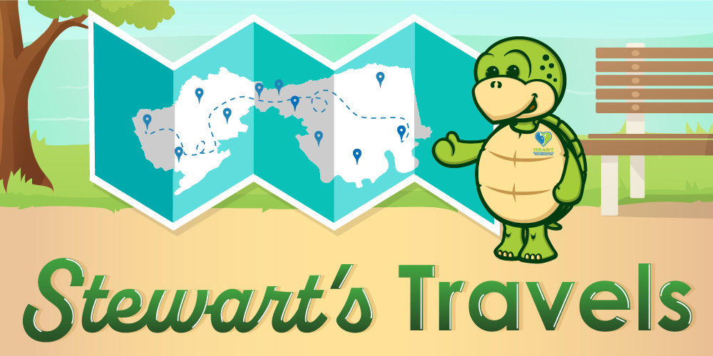 Stewarts Travel Blog Graphic 01 1