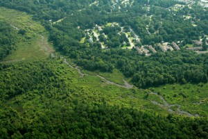 Aerial: Tuckahoe Creek & Ridgefield Parkway