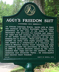 Aggy’s Freedom Suit photo