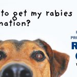 Police Rabies Clinic Promo