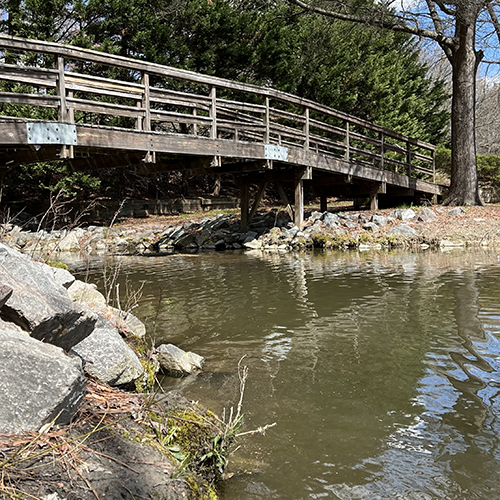 photo of a trail bridge over water